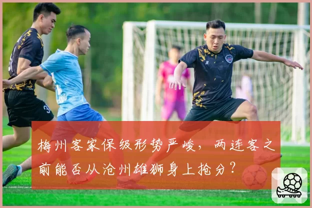 梅州客家保级形势严峻，两连客之前能否从沧州雄狮身上抢分？