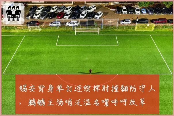 锡安背身单打连续挥肘撞翻防守人，鹈鹕主场哨泛滥名嘴呼吁改革