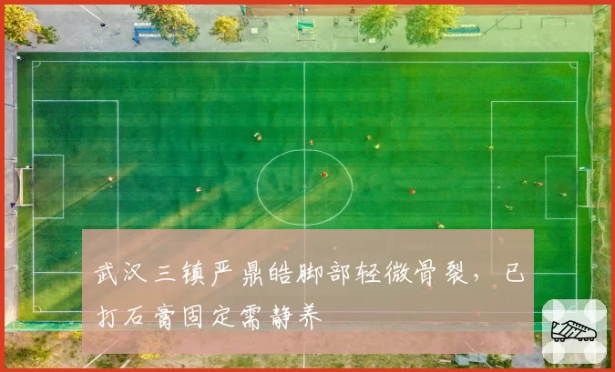 武汉三镇严鼎皓脚部轻微骨裂,已打石膏固定需静养